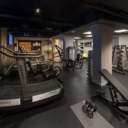 酒店 圣奥拉夫普拉斯斯堪迪克酒店 3*