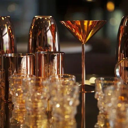 酒店 圣奥拉夫普拉斯斯堪迪克酒店 奥斯陆